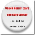 Chuck Norris 3