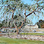 Across the lake at Aberglasney Across the lake at Aberglasney