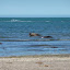 patagonia147.JPG