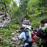 piatra criaului - curmatura 29 -30 mai - 1.JPG