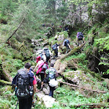 piatra criaului - curmatura 29 -30 mai -7.JPG