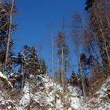 Siriu_Virgil_108.jpg