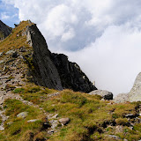 _DSC0201.JPG
