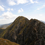 _DSC0235.JPG