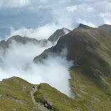 DSC00805.JPG