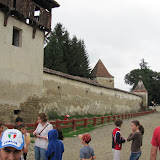 IMG_2471.jpg