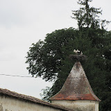 IMG_2472.jpg