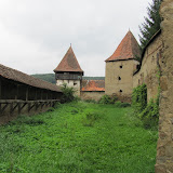 IMG_2502.jpg