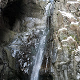 _DSC0335.jpg