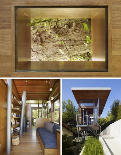Tree House an Ecentric House Design Picture 3 Image for Tree House an Ecentric House Design