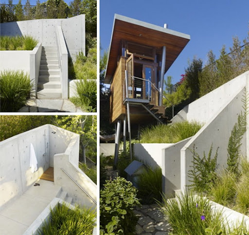 Tree House an Ecentric House Design Picture 4 Image for Tree House an Ecentric House Design