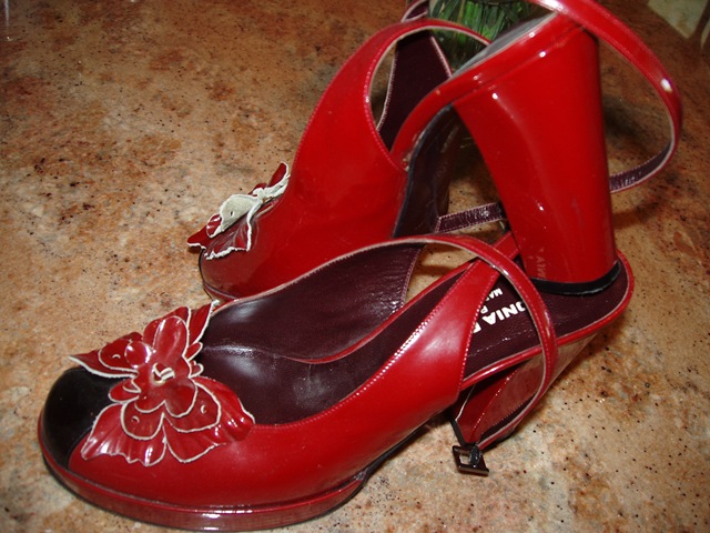 [soniarkyielshoe5.jpg]