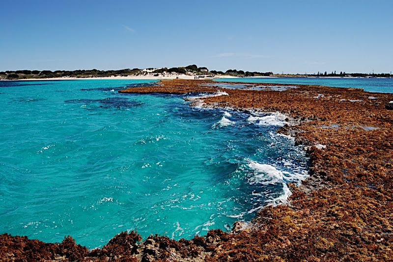 Rottnest Island the 'Natural Jetty'