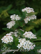 IMG_8237 IMG_8237