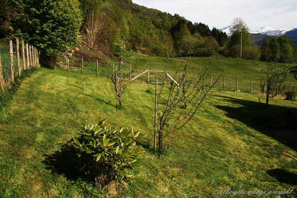 [IMG_4711 til blogg[13].jpg]