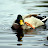100_2836.JPG