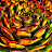 DSC04910_f.JPG