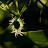 100_8516.JPG