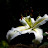 DSCF9351.JPG