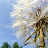 DSCF9559.JPG