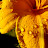 DSCF9607.JPG