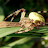 DSCF9502.JPG