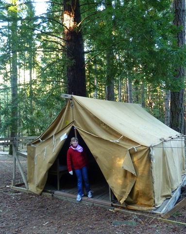 [Camporee2011 003[3].jpg]