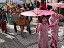 P1080392.jpg
