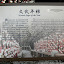 SDC12498.JPG
