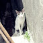 IMGP5988.JPG
