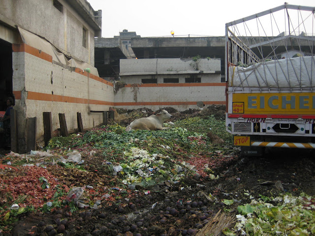 Waste piles in Azadpur Mandi