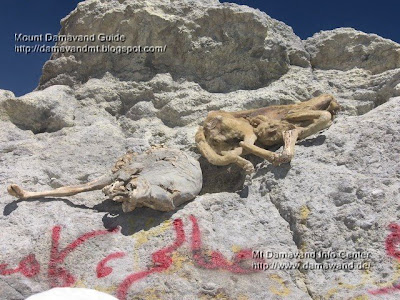 Mummies of Mt Damavand