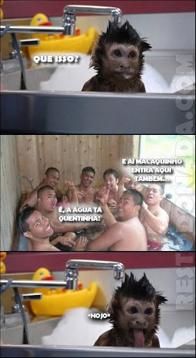 http://lh5.ggpht.com/_YpOh9wQSPU8/TKiDH90pwNI/AAAAAAAACWg/o7cBtmp0oDA/macaco.jpg