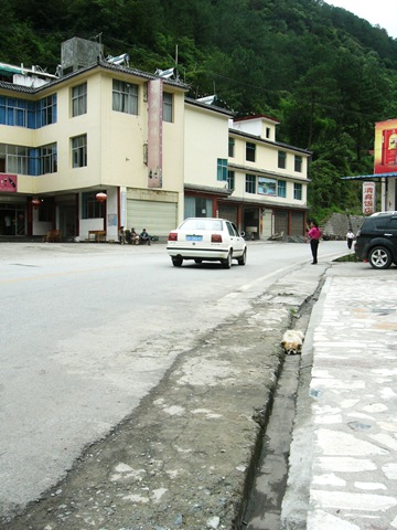 [P1080463[2].jpg]