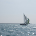 DSCF0201.JPG