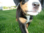 DSCF0564.JPG