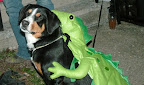 DSCF1384.JPG