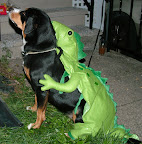 DSCF1385.JPG