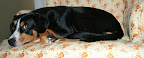 DSCF1379.JPG