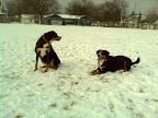 IMAGE_002.jpg