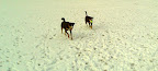 IMAGE_004.jpg