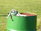 CIMG0107.JPG