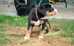 DSCF0491.JPG
