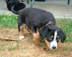 DSCF0493.JPG