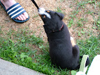 DSCF0501.JPG