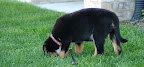 DSCF0521.JPG