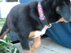 DSCF0508.JPG
