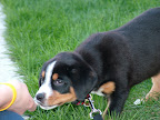 DSCF0523.JPG