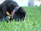 DSCF0533.JPG