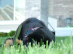 DSCF0539.JPG